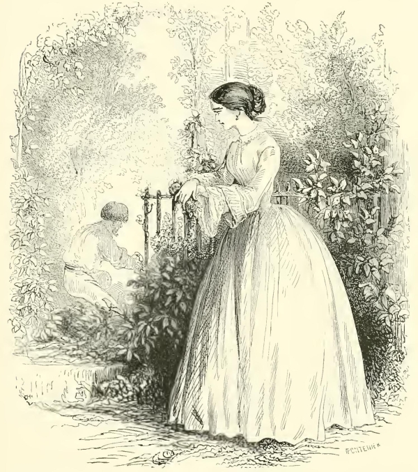 50123m /posts/13/110/images/50123m.jpg