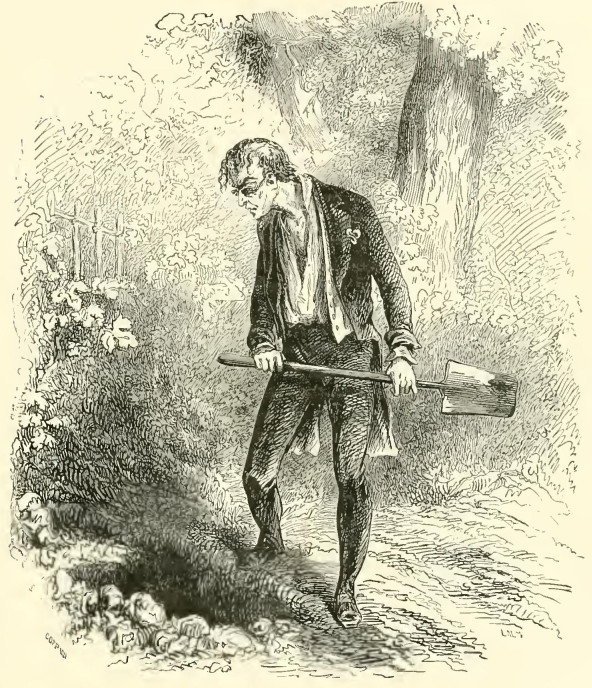 50197m /posts/13/116/images/50197m.jpg