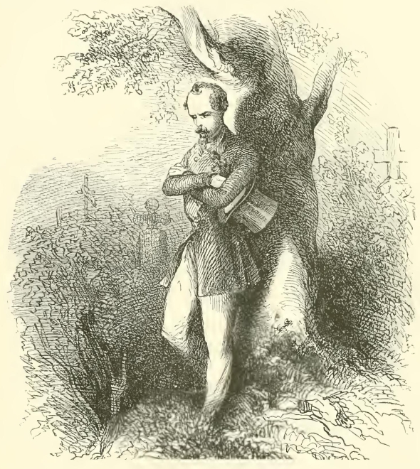 50229m /posts/13/118/images/50229m.jpg