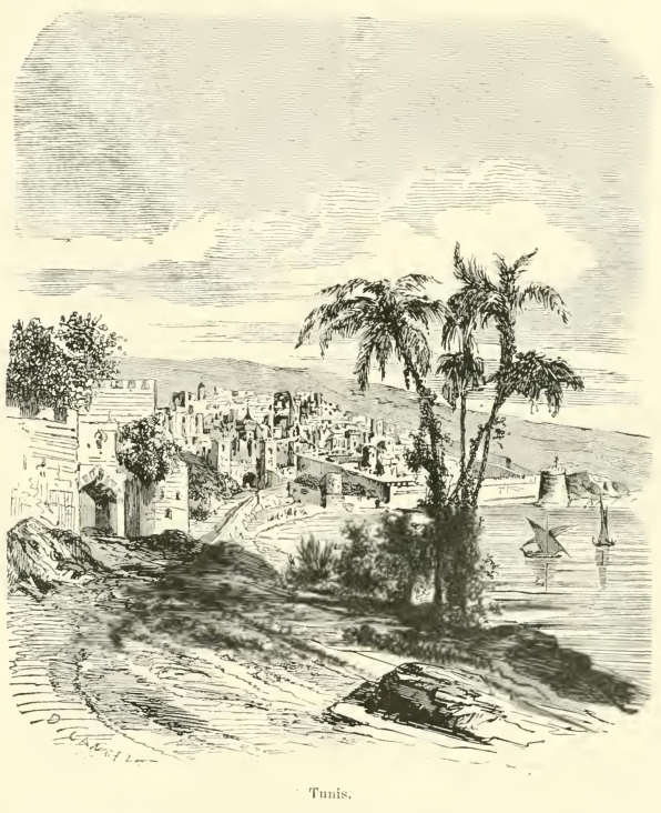 50269m /posts/13/122/images/50269m.jpg