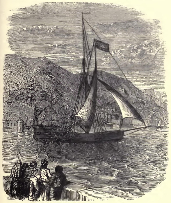 0313m /posts/13/26/images/0313m.jpg