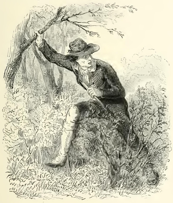 20303m /posts/13/46/images/20303m.jpg