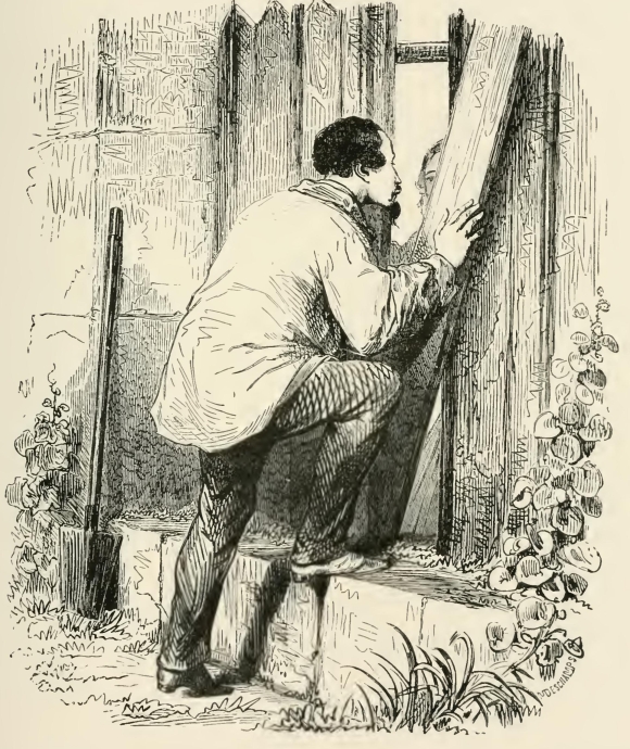 30053m /posts/13/54/images/30053m.jpg