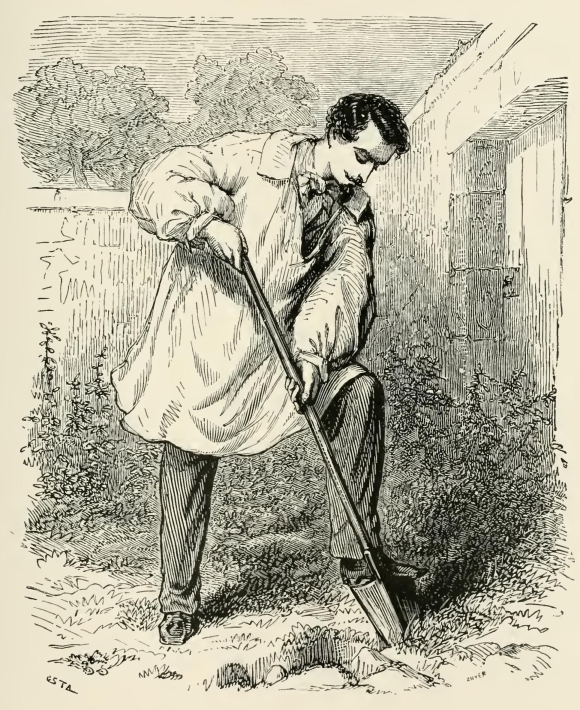 30059m /posts/13/54/images/30059m.jpg