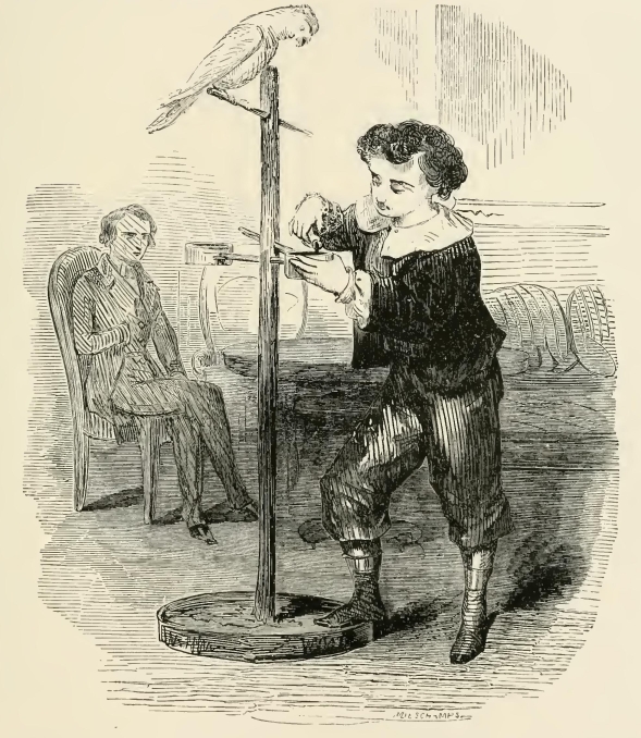 30185m /posts/13/63/images/30185m.jpg