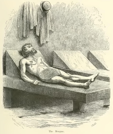 40174m /posts/13/88/images/40174m.jpg