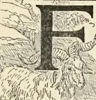 9150m /posts/21/20/images/9150m.jpg