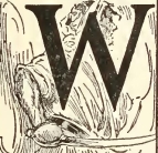 9175m /posts/21/24/images/9175m.jpg