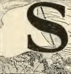 9190m /posts/21/26/images/9190m.jpg