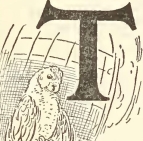 9261m /posts/21/36/images/9261m.jpg