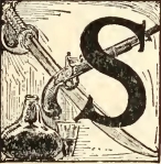 9029m /posts/21/4/images/9029m.jpg