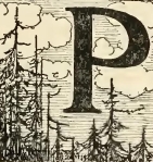 9298m /posts/21/40/images/9298m.jpg